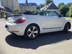 Bild des Angebotes VW Beetle Cabriolet Club R-Line Aluräder 10.400km
