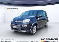 Bild des Angebotes Fiat Panda GSE Mild-Hybrid DAB