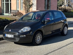 Bild des Angebotes Fiat Punto Evo Punto+EVO++5-Türer+1.2+8V+My