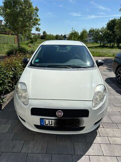 Bild des Angebotes Fiat Panda Panda 1.2 Grande