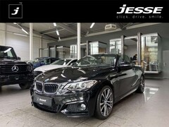 Bild des Angebotes BMW 228 i M Sport Bi-Xenon Navi Memory R.Cam 1.Hand