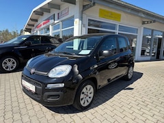 Bild des Angebotes Fiat Panda Pop - Guter Zustand - 1 Jahr Garantie - Klima