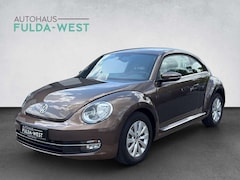 Bild des Angebotes VW Beetle 1.6TDI DSG Design Klimaaut. Einparkh. SHZ