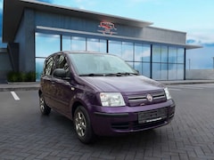Bild des Angebotes Fiat Panda 1.2 8V Dynamic (Tüv und Service Neu)