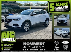 Bild des Angebotes Opel Grandland 1.2 Turbo Edition *beh.Lenk*Sitzh.*LM*