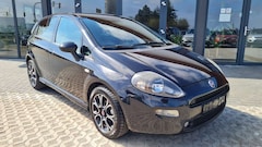 Bild des Angebotes Fiat Punto Pop