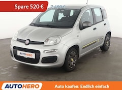 Bild des Angebotes Fiat Panda 1.2 Young*KLIMA*GARANTIE*
