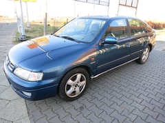 Bild des Angebotes Nissan Primera Basis