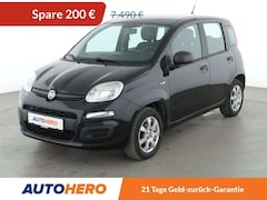 Bild des Angebotes Fiat Panda 1.2 Pop*ALU*KLIMA*CD*