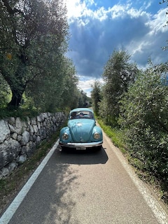 Bild des Angebotes VW LT VW Käfer 1200