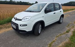 Bild des Angebotes Fiat Panda Panda 1.2 My Panda