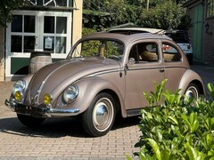 Bild des Angebotes VW Käfer Ovali Faltdach aus der Hermann Walter Sammlung