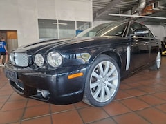 Bild des Angebotes Jaguar XJ8 4,2