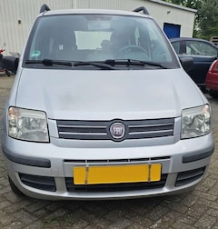 Bild des Angebotes Fiat Panda 1.2 Dynamic,Klima, Radio-Cd,