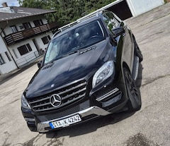 Bild des Angebotes Mercedes-Benz ML 500 4MATIC (BlueEFFICIENCY) 7G-TRONIC