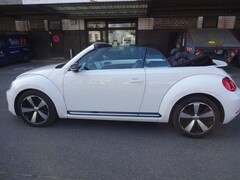 Bild des Angebotes VW Beetle Cabriolet "60's" Sport