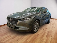 Bild des Angebotes Mazda CX-30 2.5 Takumi Leder AUTOMATIK Bose, Matrix, 360°, All
