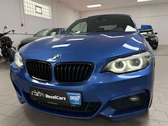Bild des Angebotes BMW 230 i Cabrio M Sport*H&K*AHK*DAB*Alcantara*DAB+*