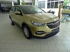 Bild des Angebotes Opel Grandland X 1.2 Turbo Selection