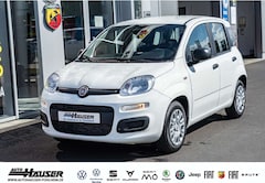 Bild des Angebotes Fiat Panda MY25 Hybrid 1.0 GSE CITY-PAKET TEMPOMAT PDC