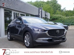 Bild des Angebotes Mazda CX-30 Exclusive 150 Automatik Standheizung|AHK|BOSE