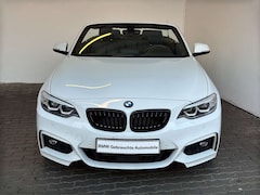 Bild des Angebotes BMW 220 dA Cabrio M Sport NaviProf.ACC.H&K.RFK.LED.SH