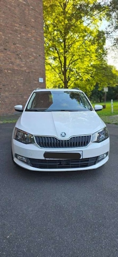 Bild des Angebotes Skoda Fabia 1.4 TDI Combi Classic