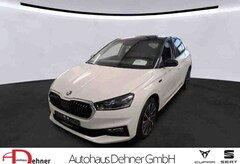 Bild des Angebotes Skoda Fabia First Edition 1.0 TSI DSG TOTWINKEL+RKAM Klima