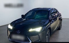 Bild des Angebotes Lexus UX 250h Luxury Line *Matrix*360°*GSD*el Sitze*PDC*