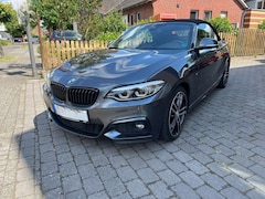 Bild des Angebotes BMW 220 2er BMW Cabrio 220d  M Sport