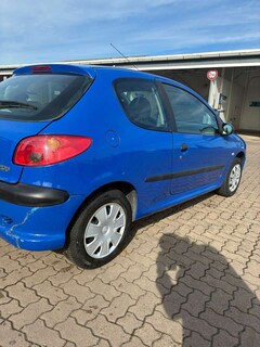 Bild des Angebotes Peugeot 206 75 Petit Filou