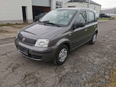 Bild des Angebotes Fiat Panda 1.2 Dynamic