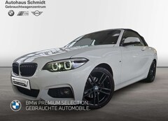 Bild des Angebotes BMW 220 i Cabrio *M Sportpaket*Navi Prof.*H/K*DAB*RFK*