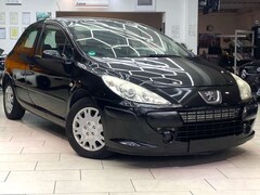 Bild des Angebotes Peugeot 307 1.6 Grand Filou Cool Klima Servo el.FH 5-trg