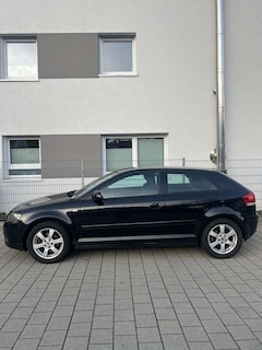 Bild des Angebotes Audi A3 1.6 Ambition