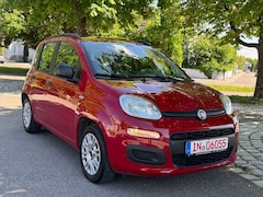 Bild des Angebotes Fiat Panda My Panda Klima AHK TÜV