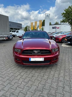 Bild des Angebotes Ford Mustang Convertible V6 3,7 L