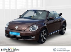 Bild des Angebotes VW Beetle Cabriolet Allstar 1.4 TSI DSG LEDER, XEN, Klima