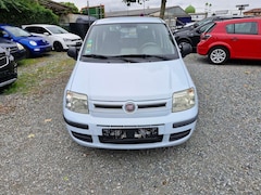 Bild des Angebotes Fiat Panda Panda 1.2 Dynamic