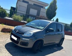 Bild des Angebotes Fiat Panda Panda 1.2 Easy