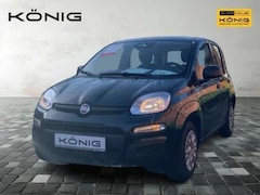 Fiat Panda MY25 1.0 Klima PDC Citypaket