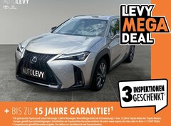 Bild des Angebotes Lexus UX 300h F-Sport Design *NAVI*LEDER*