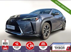Bild des Angebotes Lexus UX 250h 250h Luxury Line Matrix LED Pano Memory Kam