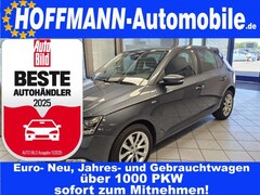 Bild des Angebotes Skoda Fabia Soleil Navi,Sitzheizung,PDC,LED