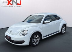 Bild des Angebotes VW Beetle Lim. | 2. Hand | Sonderlackierung