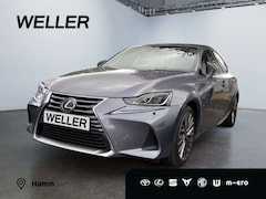 Bild des Angebotes Lexus IS 300 h Luxury Line*Mark Levinson*Schiebedach*Kamera