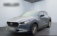 Bild des Angebotes Mazda CX-30 e-SKYACTIVE G 122 HOMURA *AHK*HUD*ACC*CAM*
