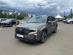 Subaru Forester Active Lineatrinoc