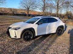 Bild des Angebotes Lexus UX 250h Style Edition
