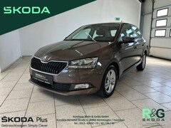 Bild des Angebotes Skoda Fabia Ambition 1.0 TSI Navi PDC Freisprech SmartLink